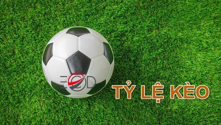 Cách soi tỷ lệ kèo bóng đá nhanh và chính xác nhất 1 Cách soi tỷ lệ kèo bóng đá nhanh và chính xác nhất