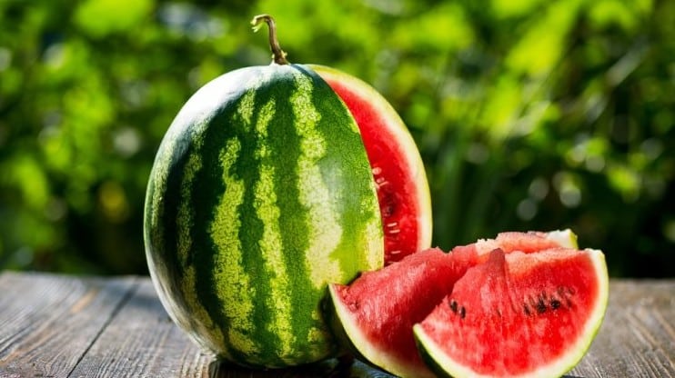 Mơ thấy quả dưa hấu đánh đề con gì? 1 Mơ thấy quả dưa hấu đánh đề con gì?